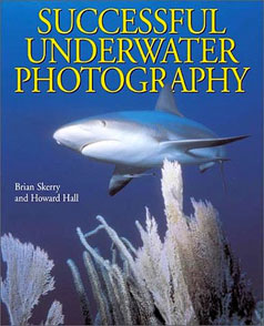 success-underwater-photog
